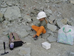 hakken tussen de stenen